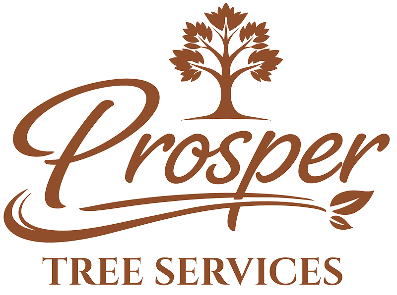 Logo Main